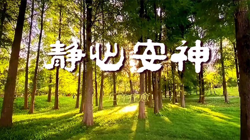 [养生][音乐][东西方歌曲合集][MP3]云网盘下载，已做压缩处理，云网盘下载后解压使用，文件大小10.12GB，目录见下文。